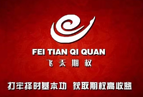 <strong>【肖淳心】《肖淳心 飞天期权之期权小白基</strong>