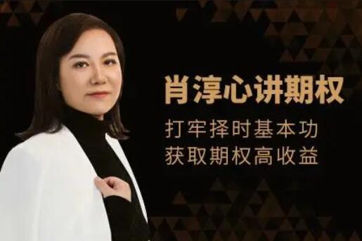 <strong>【肖淳心】《肖淳心飞天期权之期权 进阶》</strong>