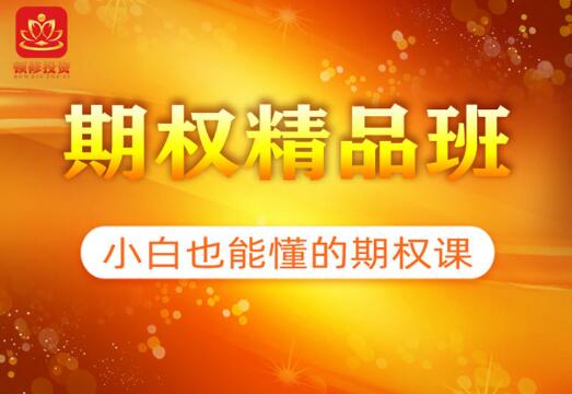 <strong>【顿修】《期权精品班 小白也能懂的期权课</strong>