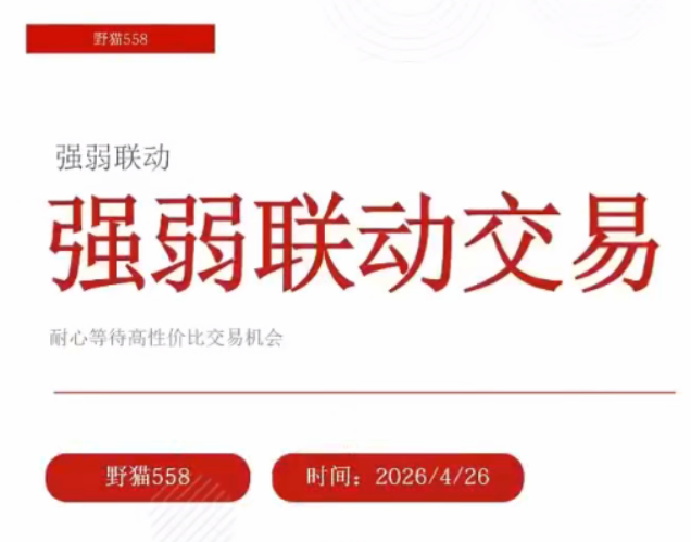 <strong>野猫558动量突破2025年第二期全程课</strong>