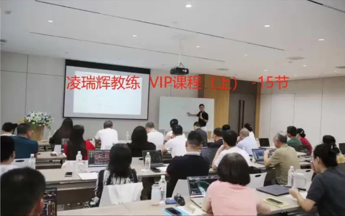 凌瑞辉教练VIP课程