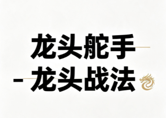 <strong>龙头舵手龙头战法课程 视频+文档</strong>